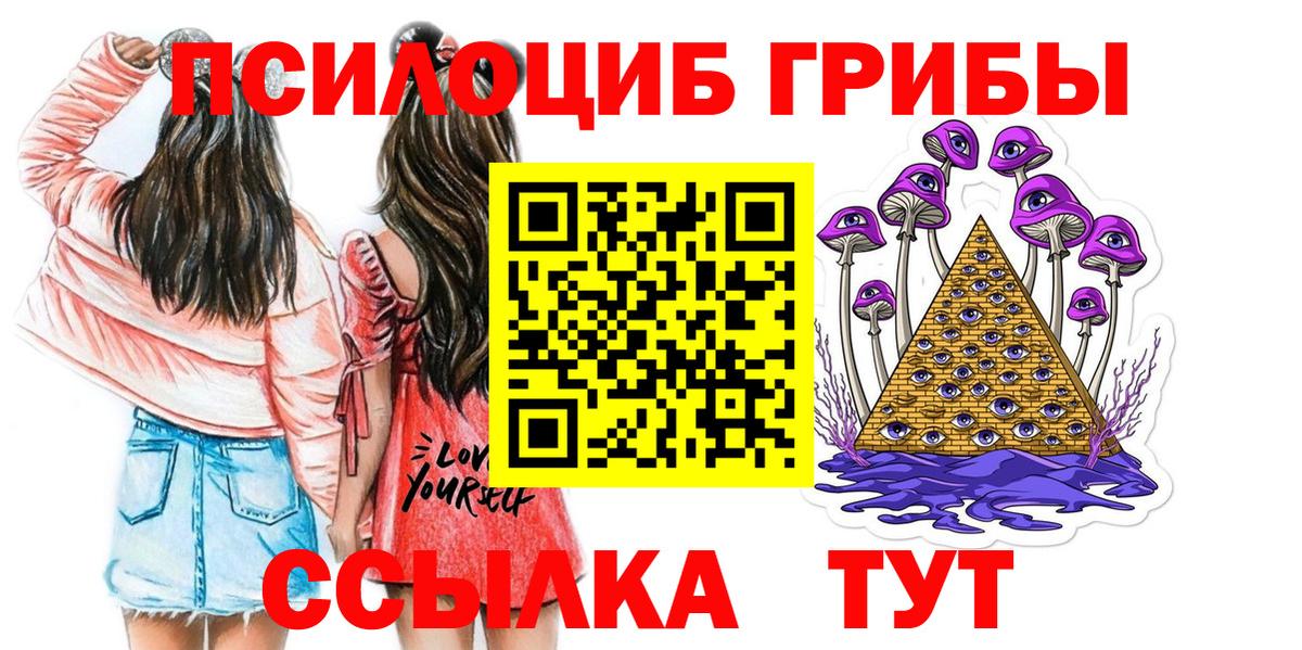 Псилоцибиновые грибы Cubensis Балтийск