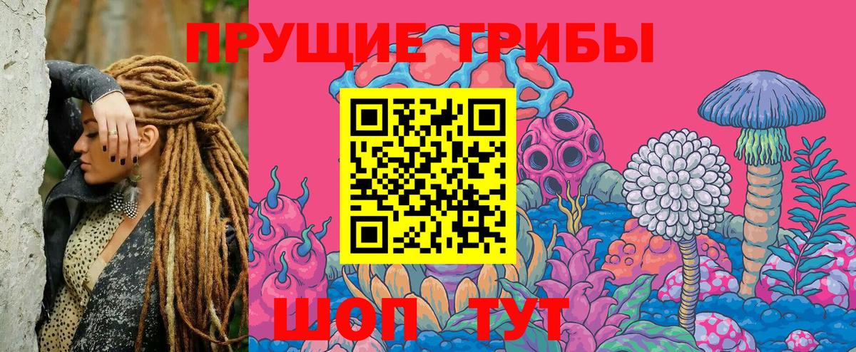 наркота  Вход с VPN  Псилоцибиновые грибы Magic Shrooms  Балтийск  Галлюциногенные грибы GOLDEN TEACHER 